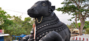 mysore4